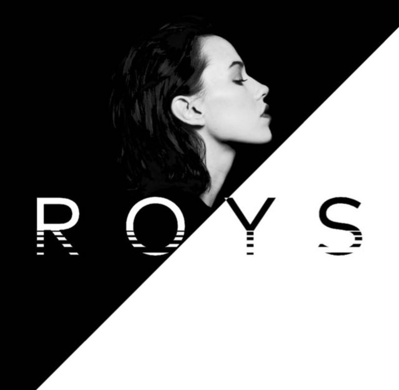 Roys Ajans Logo